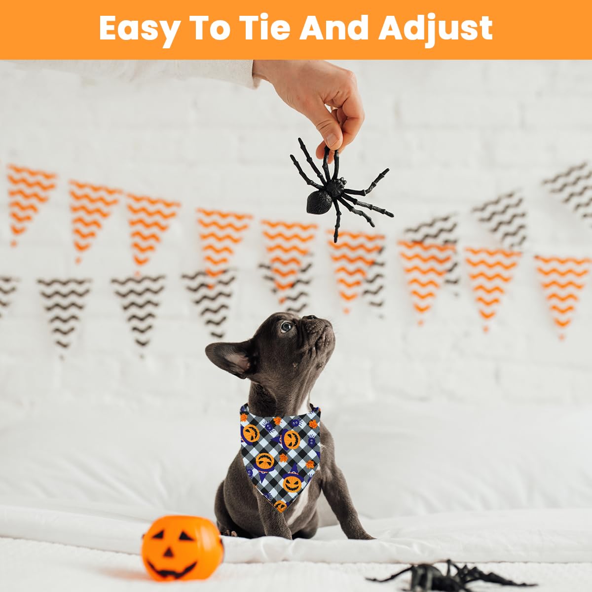 Qpets Dog Costume Set for Halloween with Adjustable Tie Straps and Cotton Wig | Medium Size