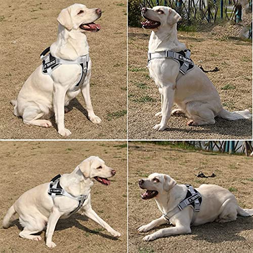 ZIBUYU® Dog Vest Harness for Dogs 23-30kg with Safety Reflective Strip Quick Release Buckle Adjustable Size Easy Control Handle for Medium Large Dogs(XL)