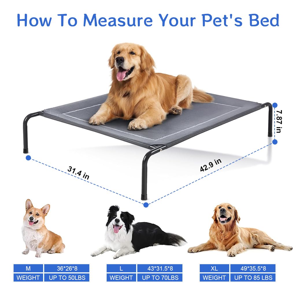 Qpets Elevated Dog Bed for Indoor and Outdoor Use with Steel Tube Frame and 43×31×8 in Mesh Surface