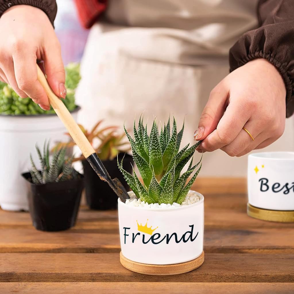 HASTHIP Ceramic Pots for Indoor Plants with Wooden Tray 9cm Set of 3 | Gift for Friends