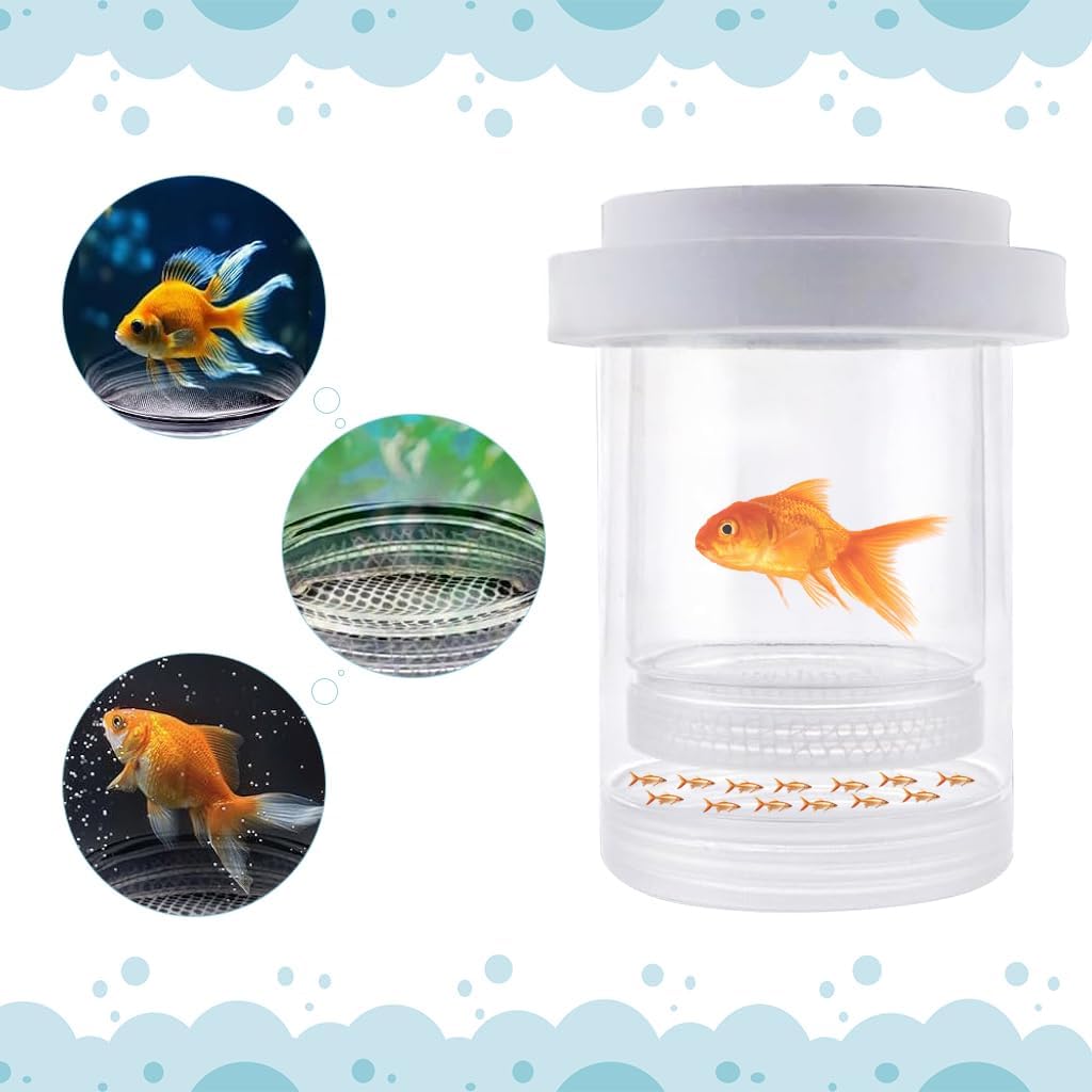 Qpets Betta Fish Breeding Box for Fry Rearing with Anti Escape Mesh PET Plastic | 2 Pcs Floating Design