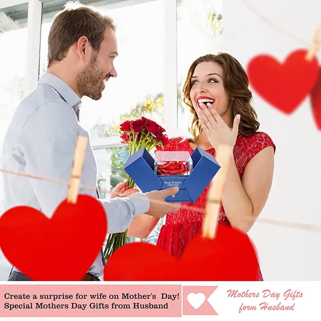 HASTHIP Rose Flower Gifts for Girlfriend featuring Eternal Real Preserved Rose & I Love You Necklace