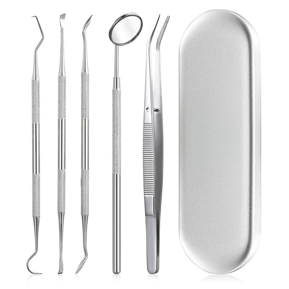 HANNEA Teeth Cleaning Tools for Home Dental Care with 5Pcs Stainless Steel Kit | for Personal and Pet Use