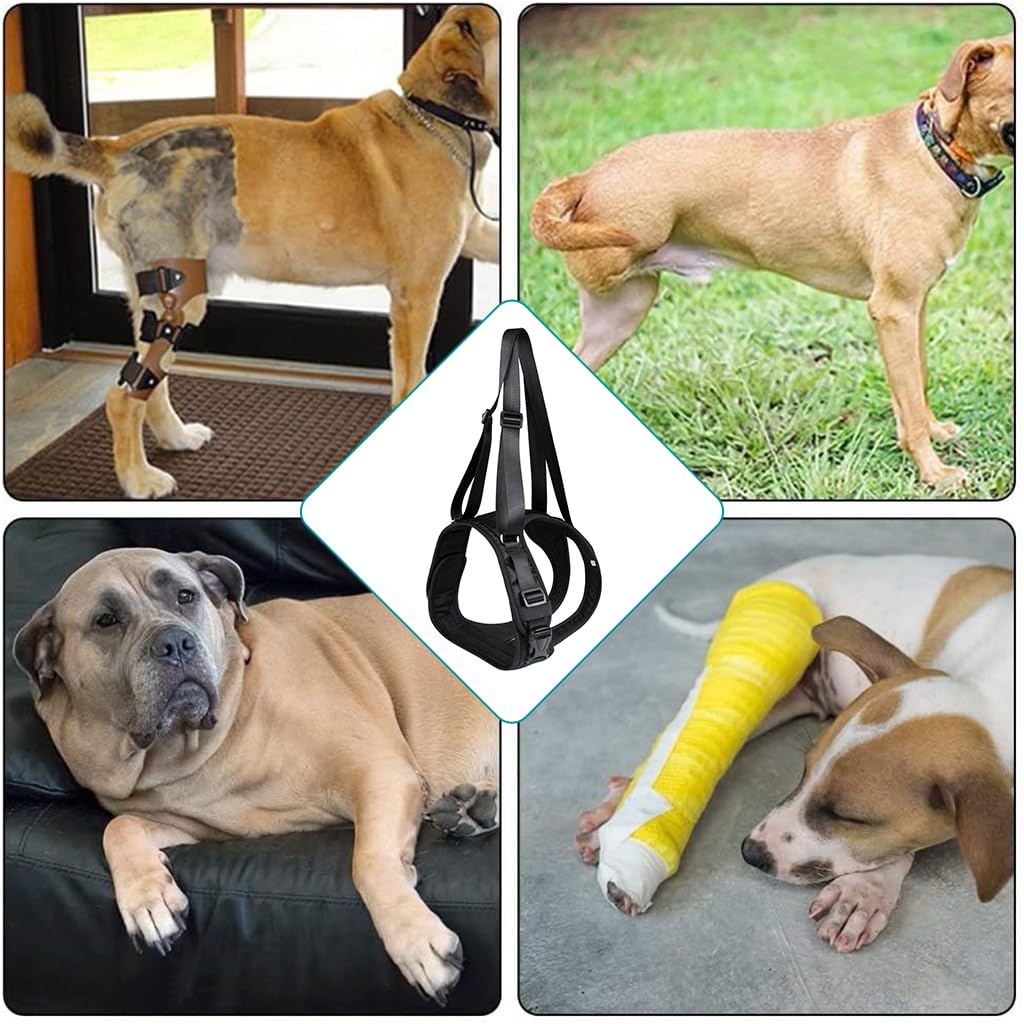 Qpets Dog Lift Harness for Rear Legs Support with Adjustable Straps 56–67cm | Easy Wear