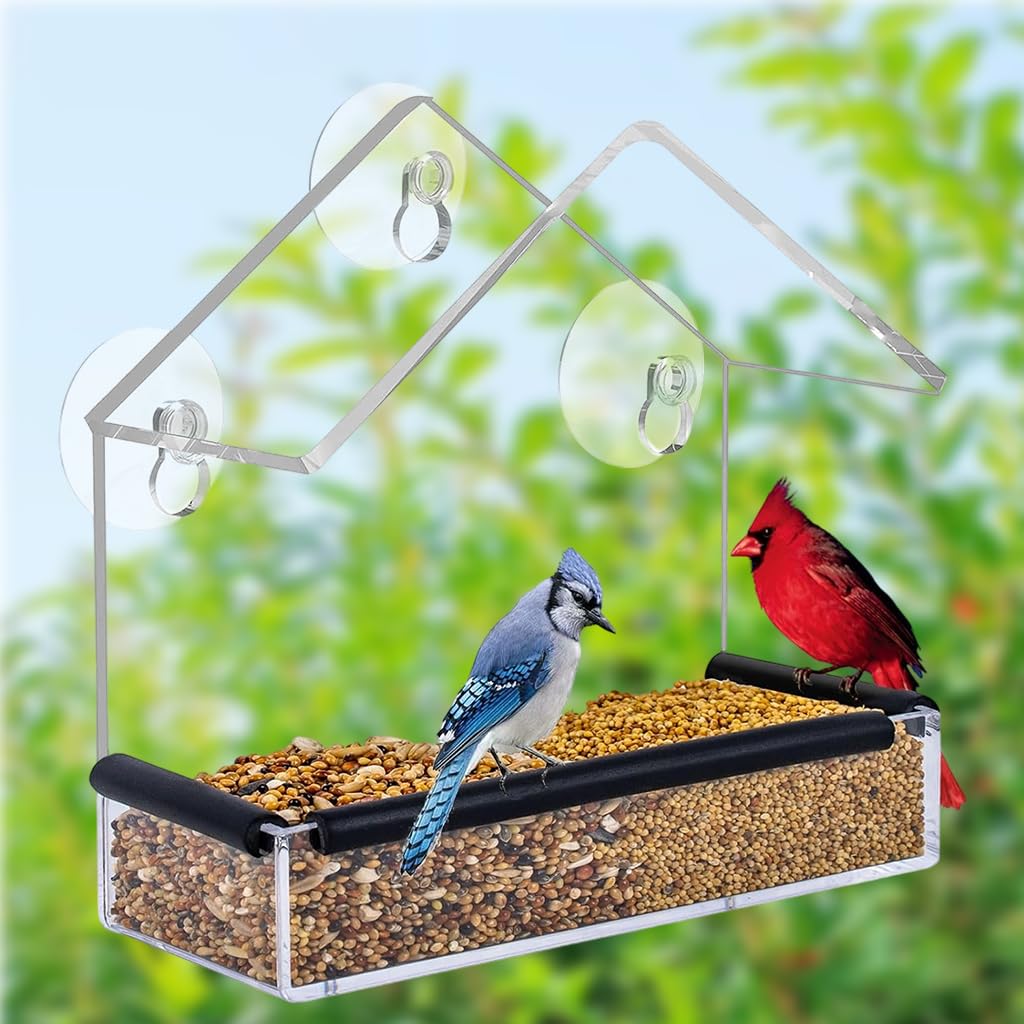 HASTHIP Bird Feeder for Windows with Suction Cups and Perching Rod | Clear Hut Style Design