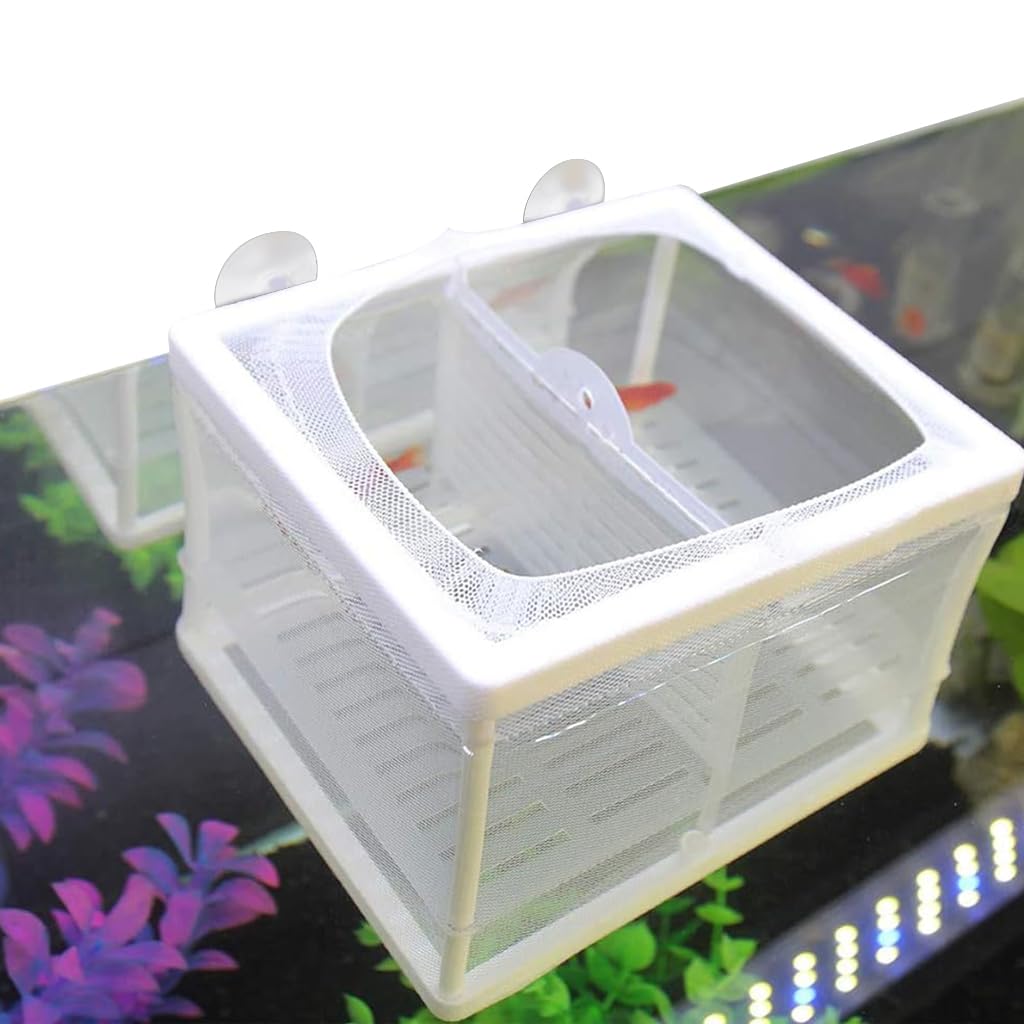 Qpets® Small Aquarium Fish Tank, Fish Breeding Box Betta Fish Tank Nylon Mesh Fighter Isolation Box, Fish Fry Hatchery Box Fish Tank with Suction Cups & Isolation Panels (16x14x15CM)