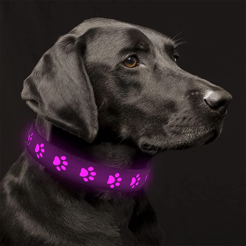 Qpets Dog Collar for Large Dogs with 7‑Color LED Light Modes & USB Rechargeable 61 cm | Adjustable PVC Leather Design for Night Visibility