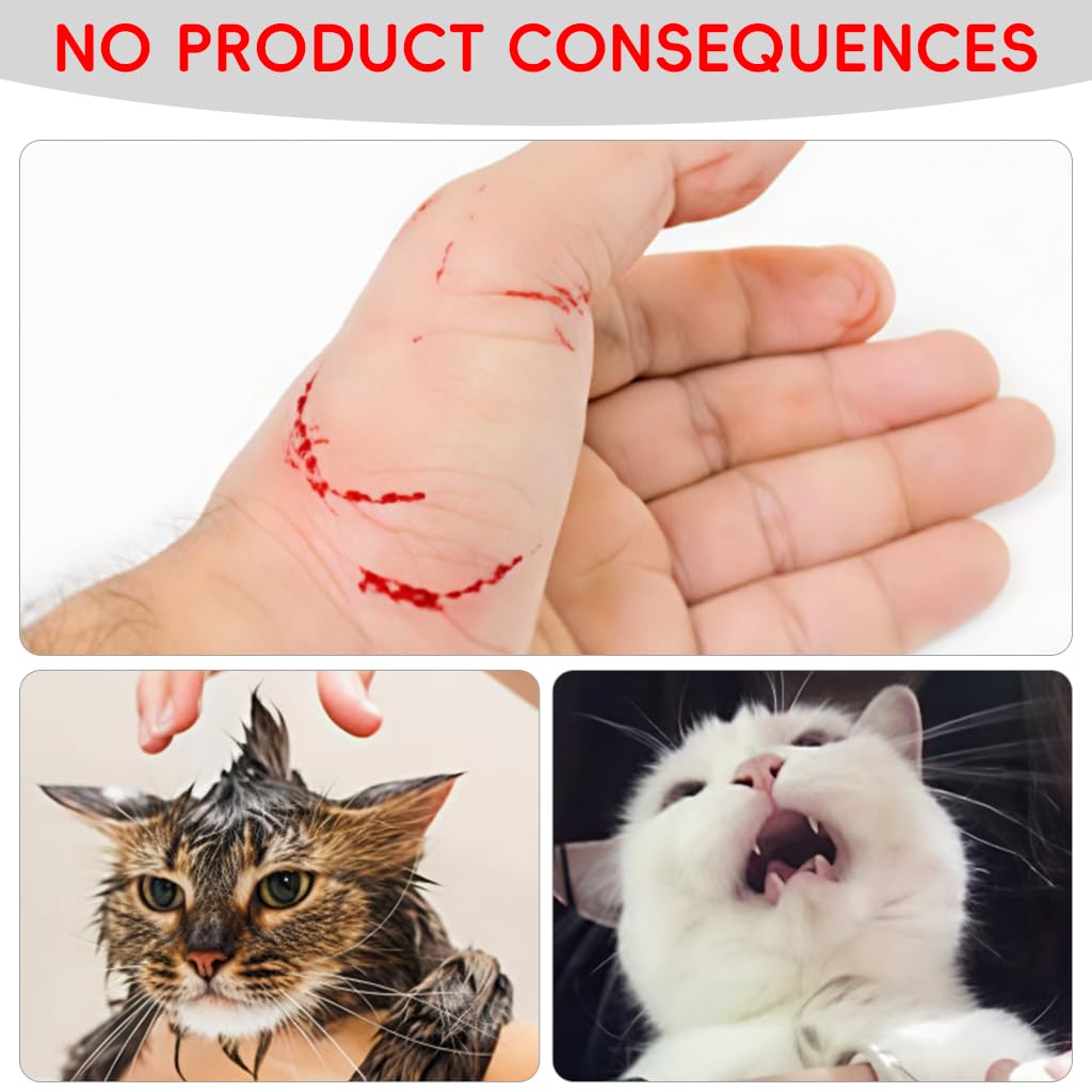 Qpets Cat Muzzle Collar for Bathing and Recovery with Transparent Ventilated Hood | Breathable Anti Licking Protective Mask