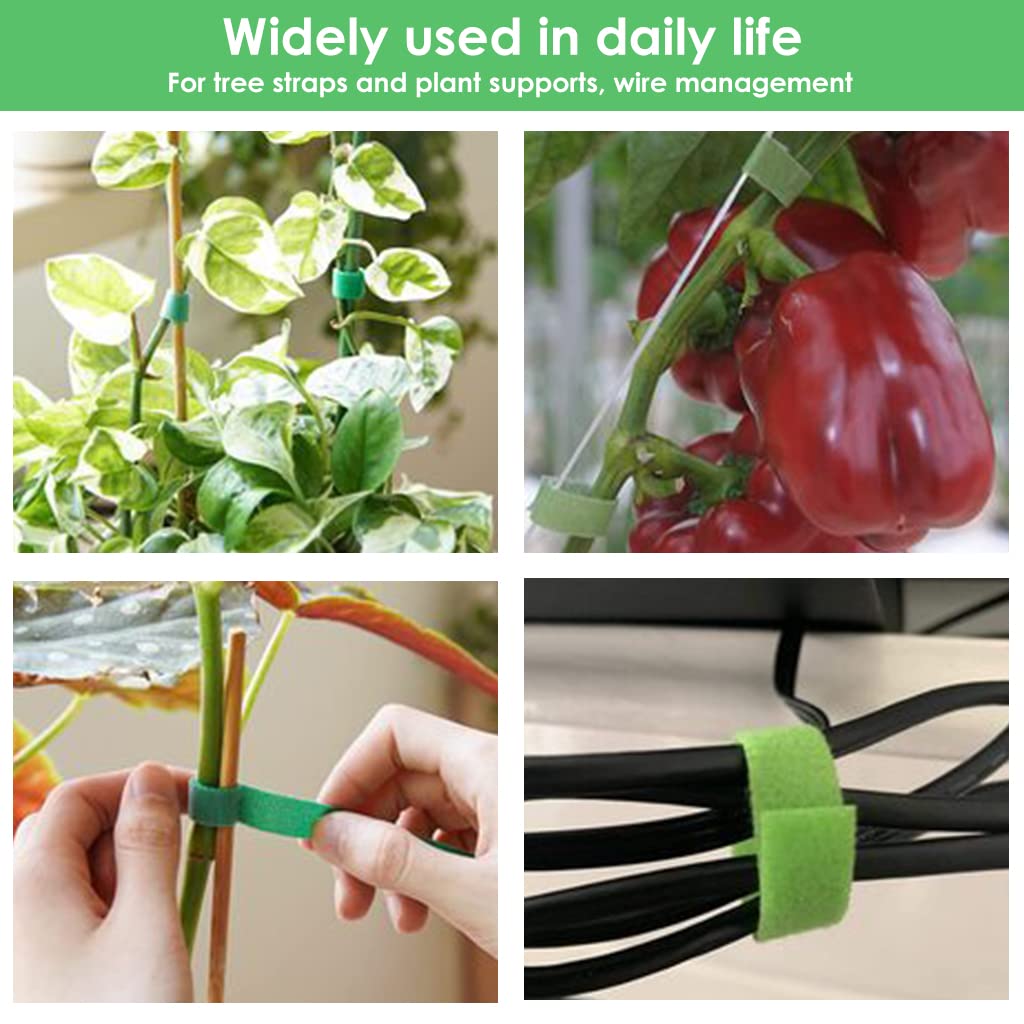 HASTHIP Plant Tie Strap for Tomato and Tree Support with Hook Loop Design 10pcs 1m Nylon Rolls