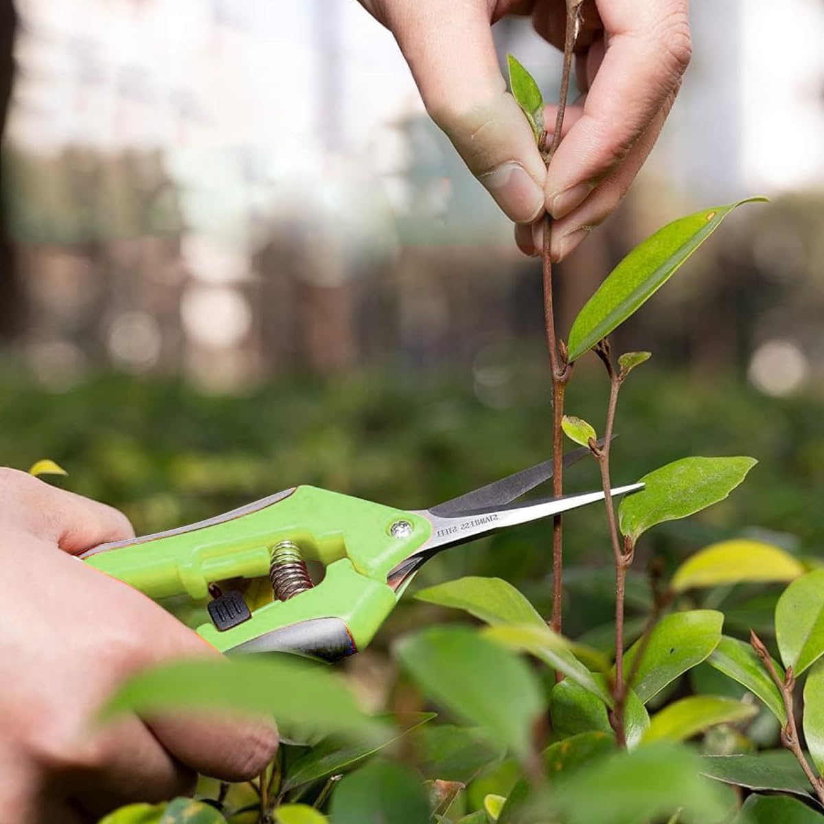 Supvox Gardening Scissor 2pcs for Potted Plants with Ergonomic Handle and Safety Lock | Stainless Steel Cutter for Home Garden