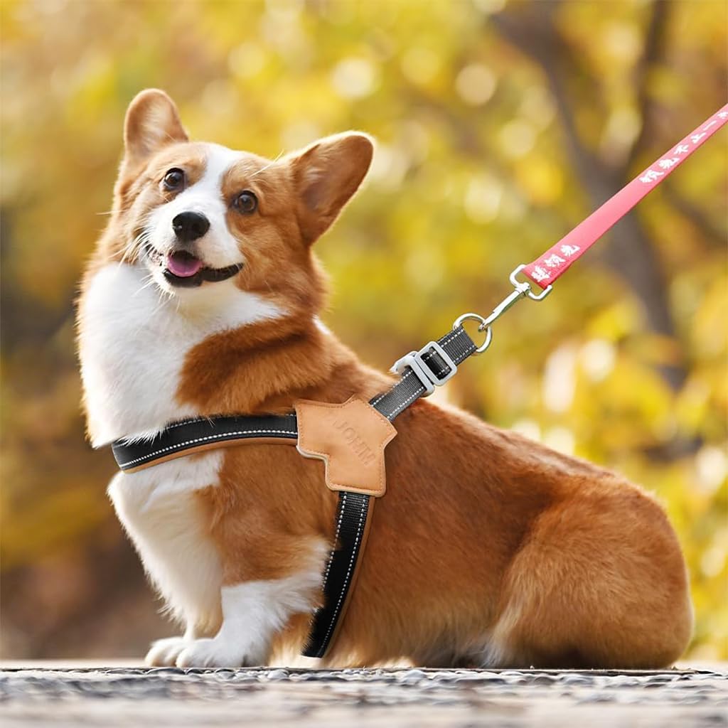 Qpets Reflective Dog Harness for Safe Night Walking with Dual D-Rings and Quick Release Buckle