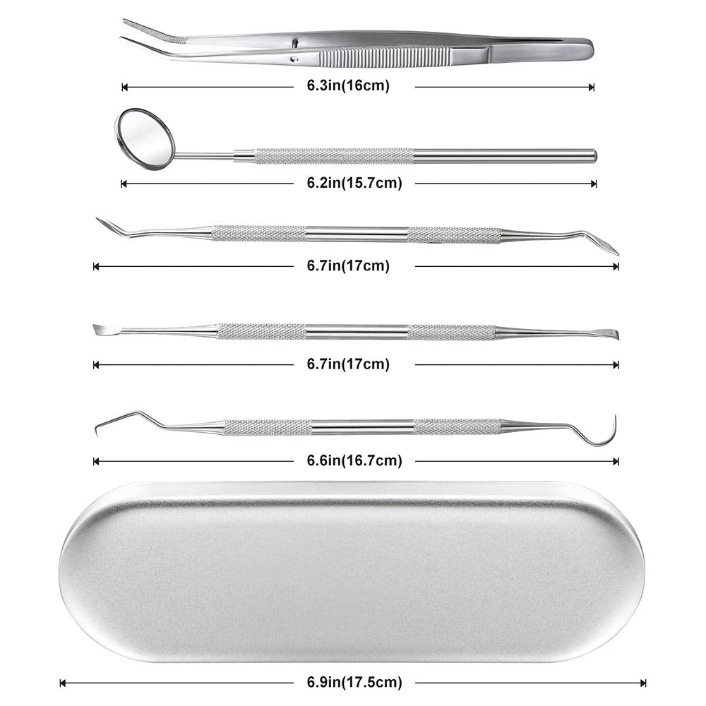 HANNEA Teeth Cleaning Tools for Home Dental Care with 5Pcs Stainless Steel Kit | for Personal and Pet Use