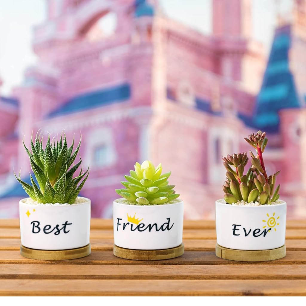 HASTHIP Ceramic Pots for Indoor Plants with Wooden Tray 9cm Set of 3 | Gift for Friends