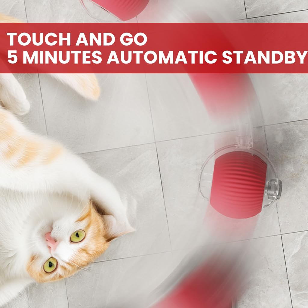 ZIBUYU Electric Cat Ball Toy for Interactive Play with 2 Speed Modes & USB Rechargeable Fun