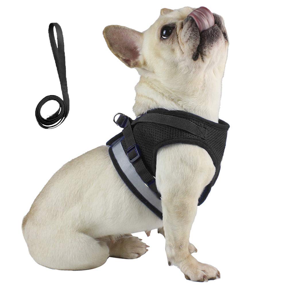 Qpets® Dog Vest Harness for Puppy with 1.2m Dog Leash Adjustable Size Dog Vest Harness Breathable Mesh Fabric with Safety Reflective Strip Dog Harness for Small Medium Dogs