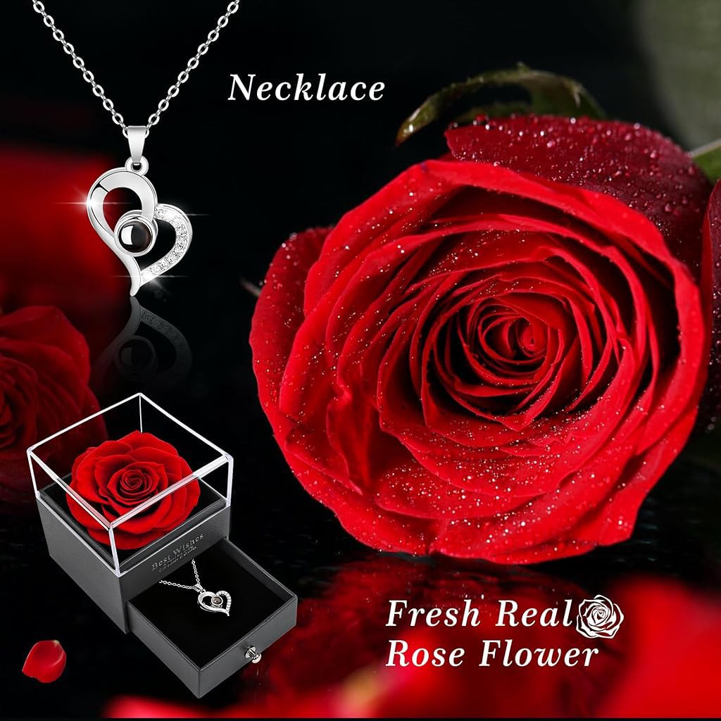 HASTHIP® Heart Pendant Necklace 2Pcs Gift for Mother Silver Necklace Chain with Rose Gift Box Necklaces with I Love You in 100 Languages Birthday Anniversary Couple Gifts for Women Girls Wife Mom