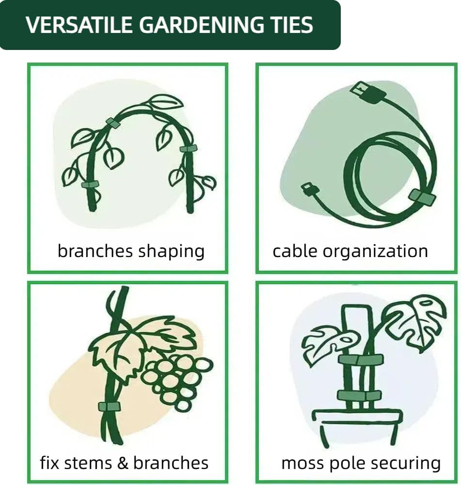 HASTHIP Plant Ties for Gardening 200 pcs 12×150 mm with Hook and Loop | Reusable Green Nylon