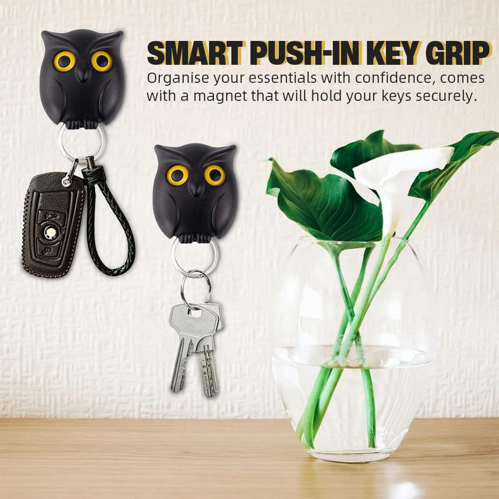 HASTHIP Key Mount Wall Organizer for Entryway with Push-in Key Grip and Blink Eye Owl Design
