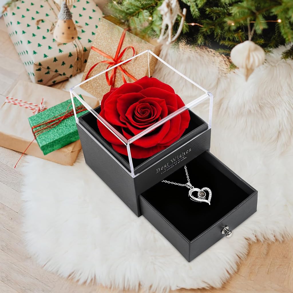 HASTHIP® Heart Pendant Necklace 2Pcs Gift for Mother Silver Necklace Chain with Rose Gift Box Necklaces with I Love You in 100 Languages Birthday Anniversary Couple Gifts for Women Girls Wife Mom