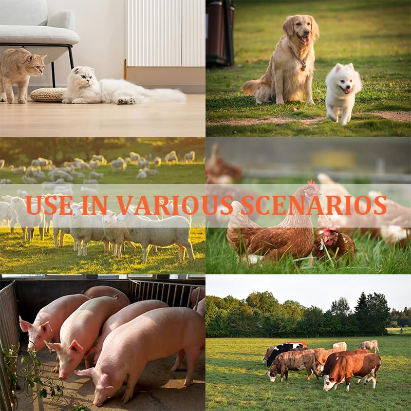 Qpets Veterinary Vaccine Syringe 20ml for Livestock with Steel Curved Nozzle & Clear Barrel