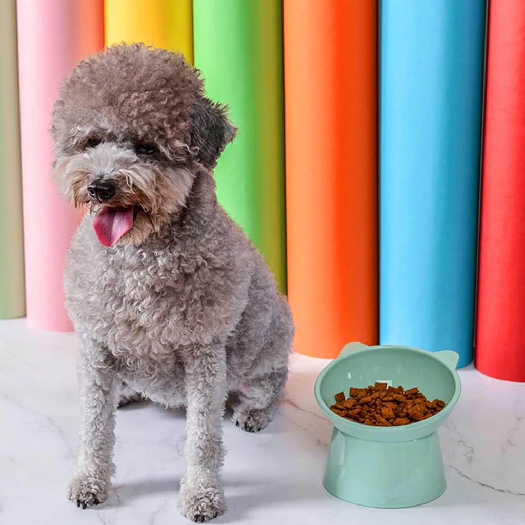 Qpets Elevated Cat Bowl for Comfortable Feeding with 4.52 in Height and Anti Tip Design | Eco Friendly Green