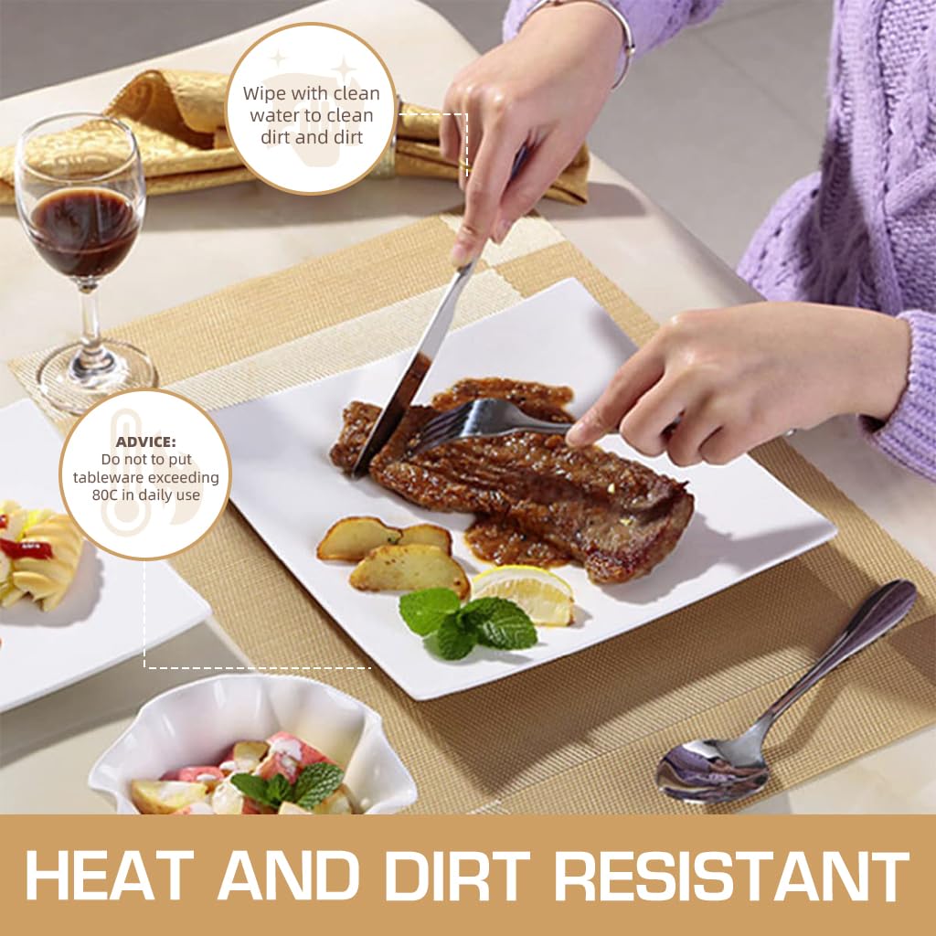 ZIBUYU Table Placemat for Dining Setup featuring 17.7x11.8 in Size and Artificial Leather | Easy Clean 6 Pack