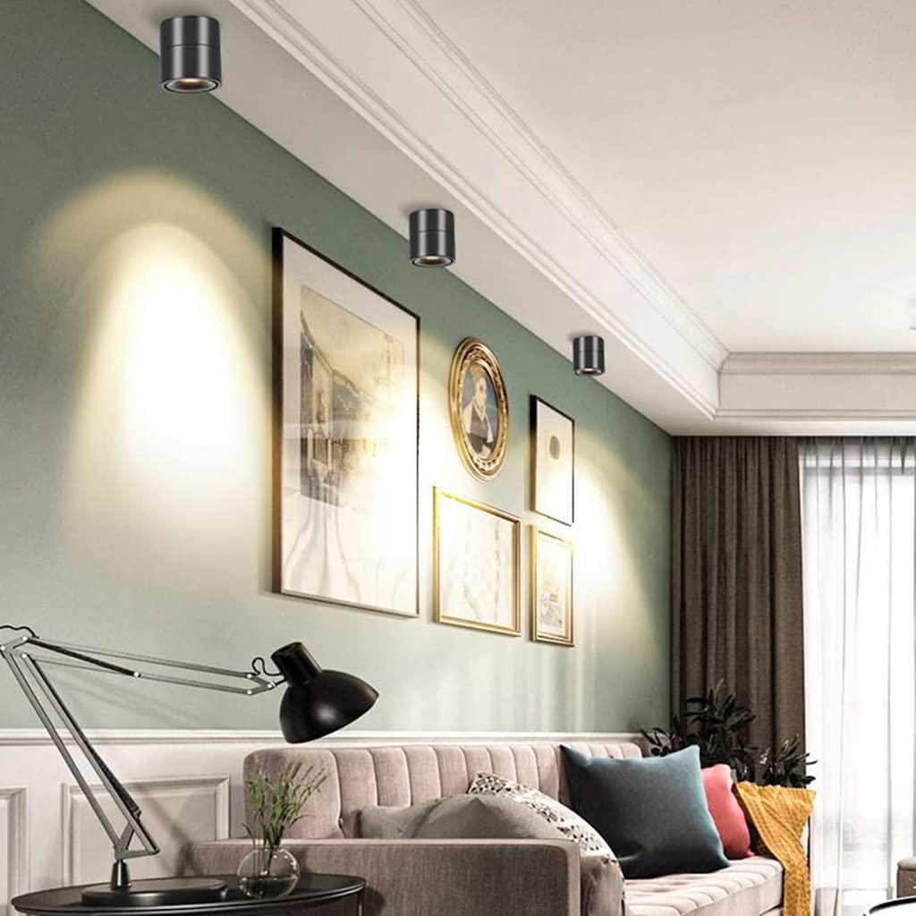 ELEPHANTBOAT Ceiling Spotlight for Home with 10W Warm LED Light and 360° Adjustable Angle | Aluminum Housing