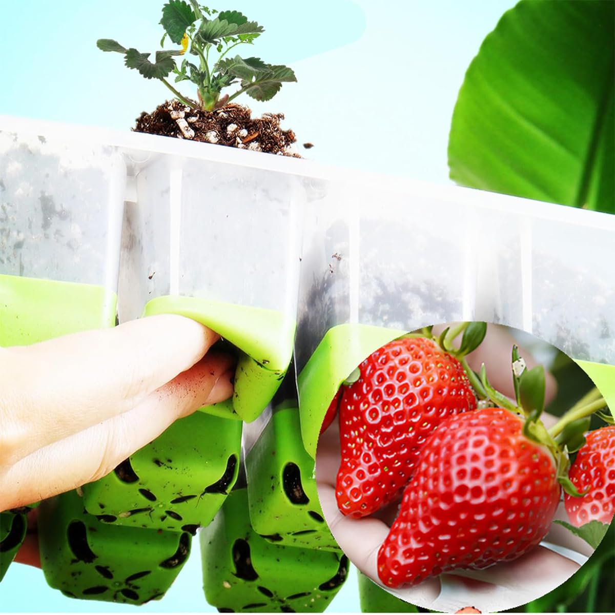 HASTHIP Seed Starter Tray for Gardening with 12 Silicone Pots and Clear Ventilation Lid | Includes Drip Tray and Seeding Tools
