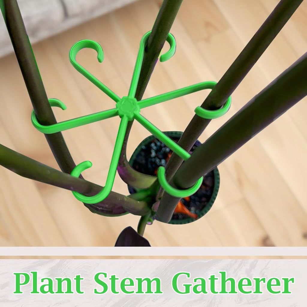 HASTHIP Plant Climbers for Indoor and Outdoor Use featuring 6-Claw Stem Holders 4 Pack | Plastic Support Rings for Climbing Plants