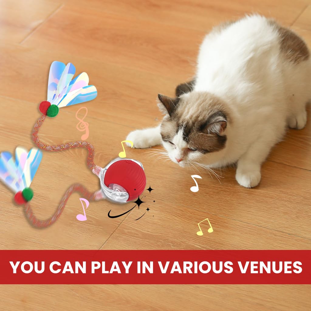 ZIBUYU Electric Cat Ball Toy for Interactive Play with 2 Speed Modes & USB Rechargeable Fun