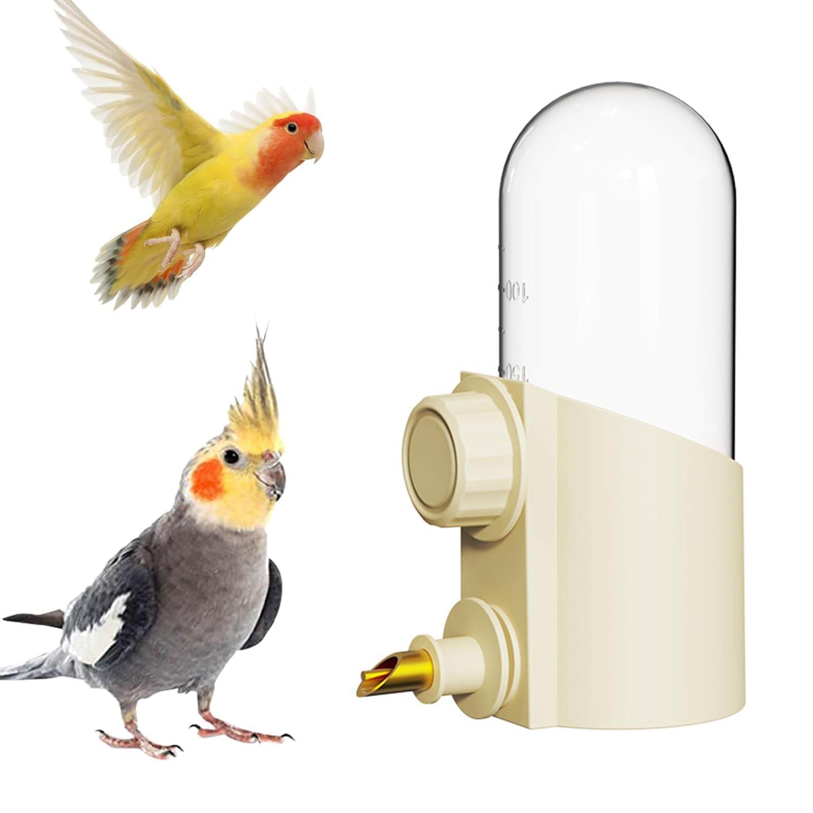 Qpets® Pet Bird Automatic Water Feeder