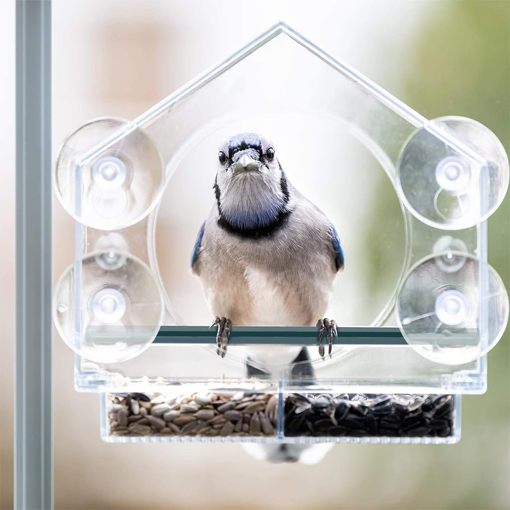 HASTHIP® Bird Feeders with Strong Suction Cups, Acrylic Window Bird Feeder for Outside, Transparent Bird House, Balcony Glass Mount for Kids & Elderly Viewing Clear Bird Feeder (21.5x20.5x10cm)