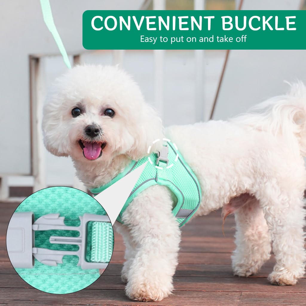 Qpets Small Dog Harness, 4.9Ft Dog Leash Breathable Mesh Pet Harness Small Dog Vest Harness with Safe Reflective Strips No Pull Small Dog Harness (Neck: 36-42CM)