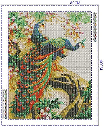 HASTHIP 5D Diamond Embroidery DIY Peacock Cross Stitch Craft Painting,Others