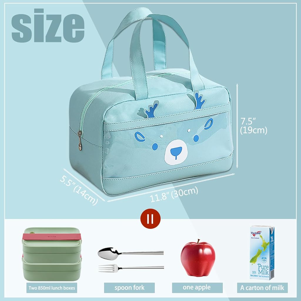 ZIBUYU® Insulated Lunch Bag for Women Men