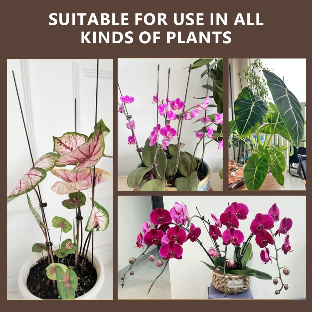 HASTHIP Plant Support Stakes for Orchids and Tomatoes with 10 Mini Claw Clips | 40cm Flexible Metal Wire