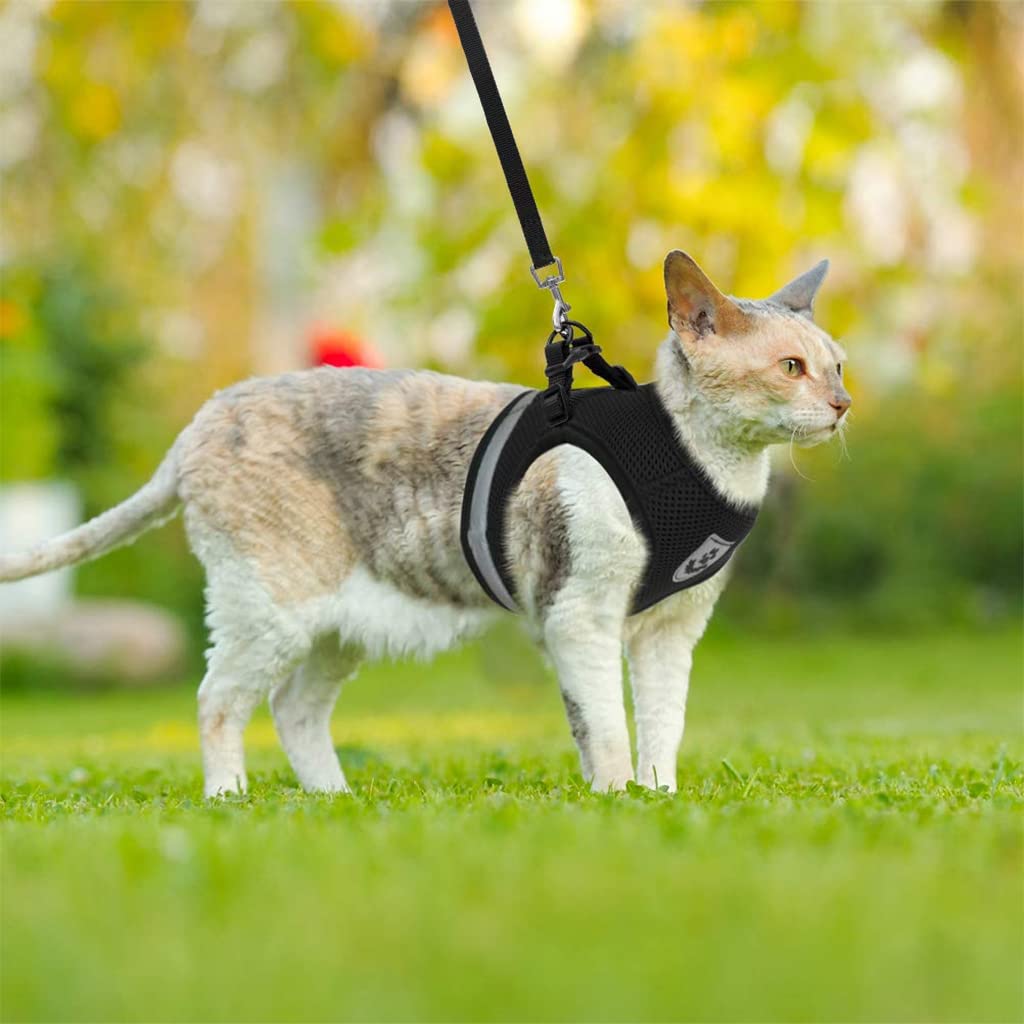 Qpets Cat Harness with Leash for Outdoor Walking featuring Dual Adjustable Anti-Escape Design and Reflective Strip | Lightweight Breathable Mesh for All Season Use