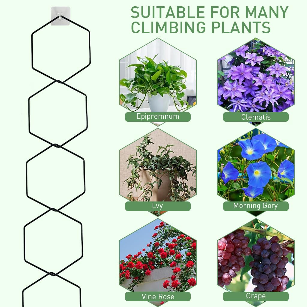 HASTHIP Garden Chain Trellis for Climbing Plants with 18Pcs 228cm Hexagon Metal Design | Indoor and Outdoor Wall Plant Support