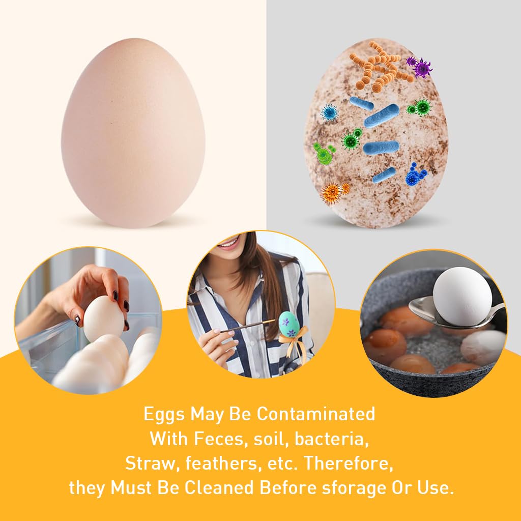 HASTHIP Silicone Egg Brush Cleaner for Fresh Eggs with 2.24 in Cap Design and Soft Bristles