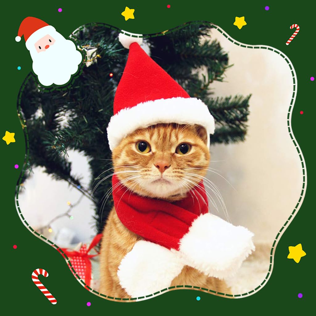 Qpets Christmas Cat Costume Set for Holiday Photos with Adjustable Hat and Scarf 36 cm