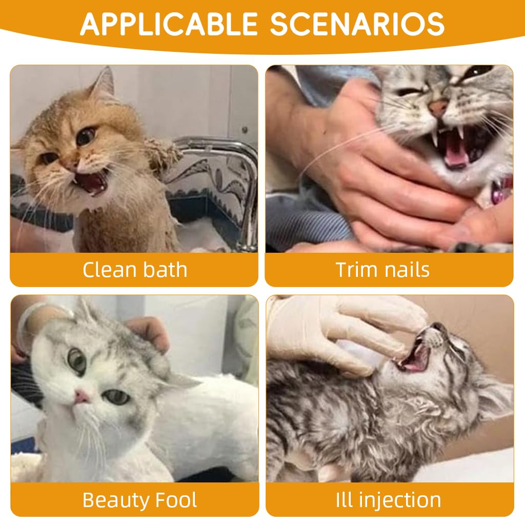 Qpets Cat Muzzle Collar for Bathing and Recovery with Transparent Ventilated Hood | Breathable Anti Licking Protective Mask