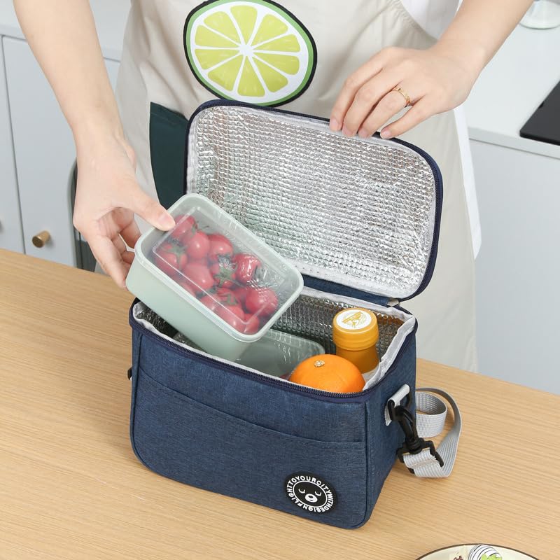 HASTHIP Insulated Lunch Bag for Work and Picnic with Handle & Shoulder Strap 26x17x18cm Blue