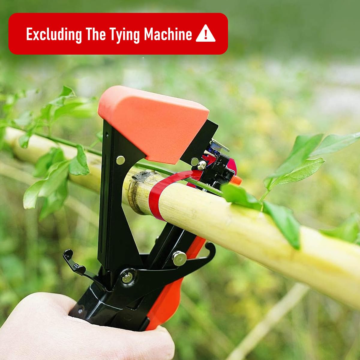 HASTHIP Plant Tying Tape for Garden and Greenhouse Use with 6 Rolls 98 ft Each | PE UV‑Resistant Material