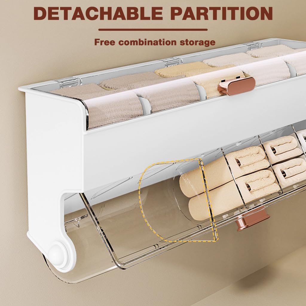 HASTHIP Underwear Storage Box with 11 Clear Compartments and Double Layer Design | Waterproof Wall Mounted Organizer 38x9x16.5cm