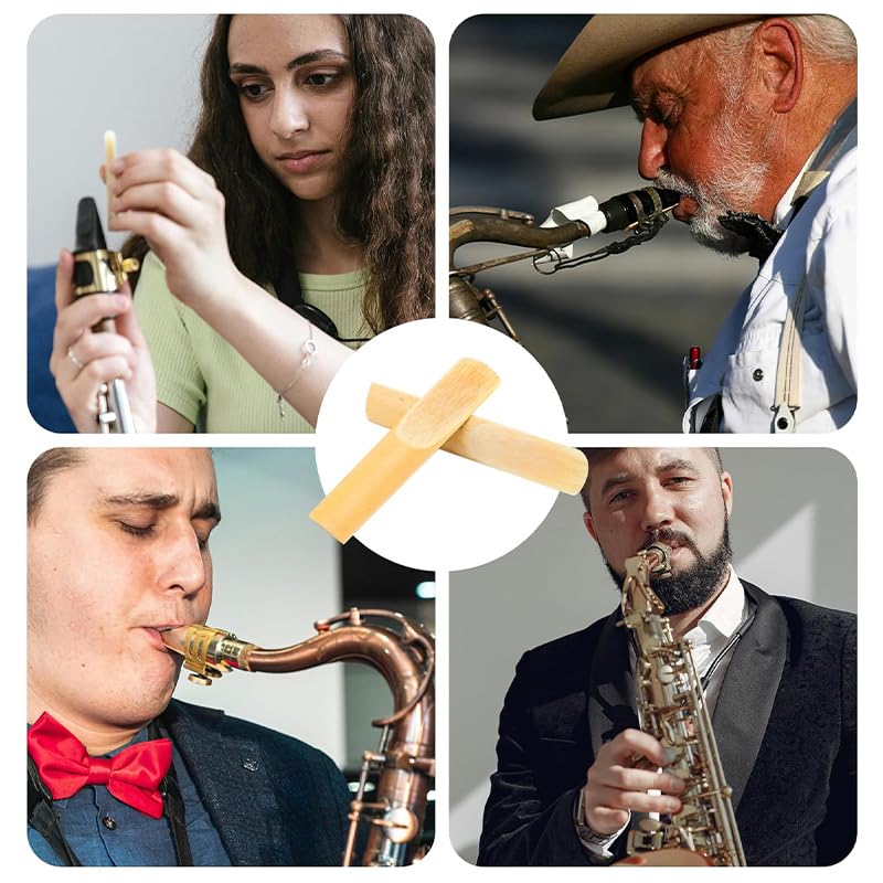 HASTHIP Saxophone Reeds 10 Pack 2.5 Strength for Alto Sax with Easy Response and Rich Tone | Ideal for Practice and Performance