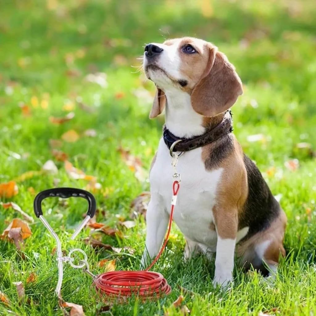 ZIBUYU Dog Belt for Large Pets featuring 9.1 m Length and Metal Buckle | Red Heavy-Duty Leash