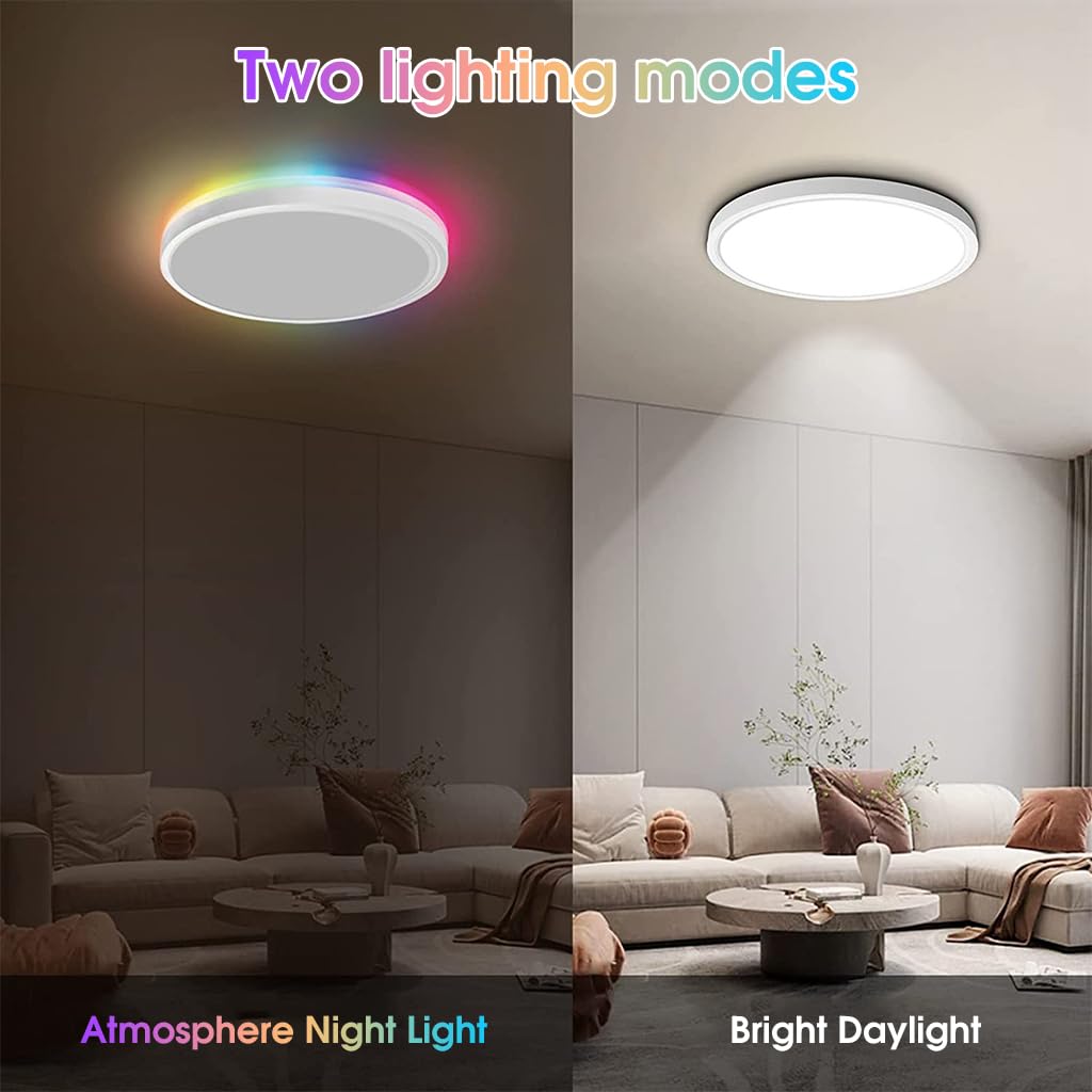 ELEPHANTBOAT RGB Dimmable LED Ceiling Light with Remote Control 12 in 24 W 3200 lm for Bedroom and Living Room