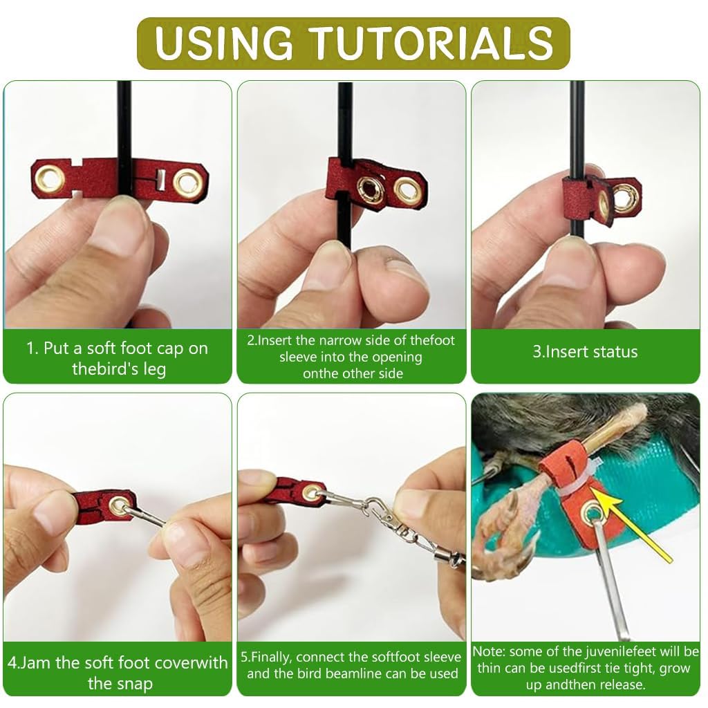 Qpets Parrot Leg Ring for Outdoor Exploration with 6.6 ft Retractable Wire | Fits Multiple Birds