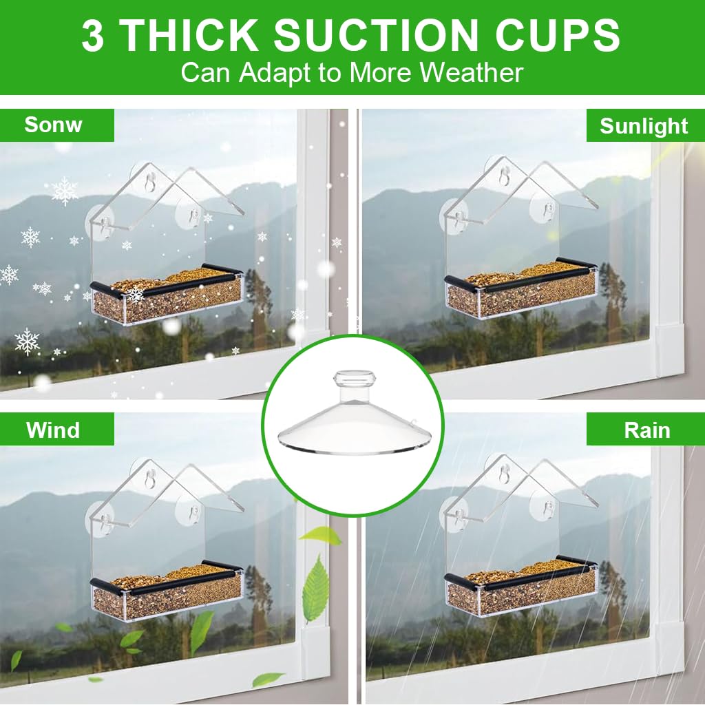HASTHIP Bird Feeder for Windows with Suction Cups and Perching Rod | Clear Hut Style Design