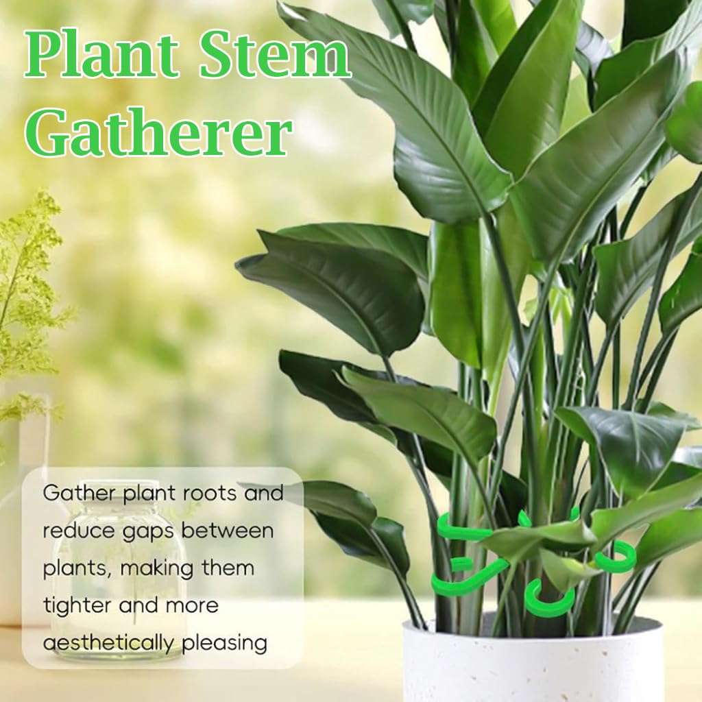 HASTHIP Plant Stem Supports for Climbing Plants featuring 6-Claw Design | 4 Pack Plastic
